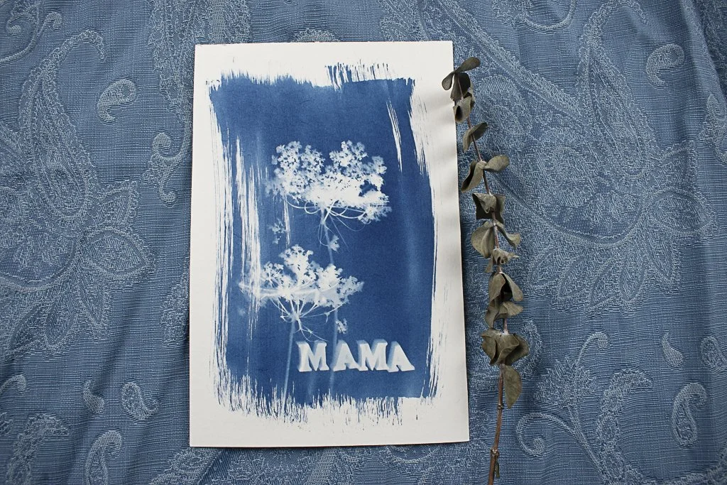 Cyanotype-jackie-partridge-011.jpg