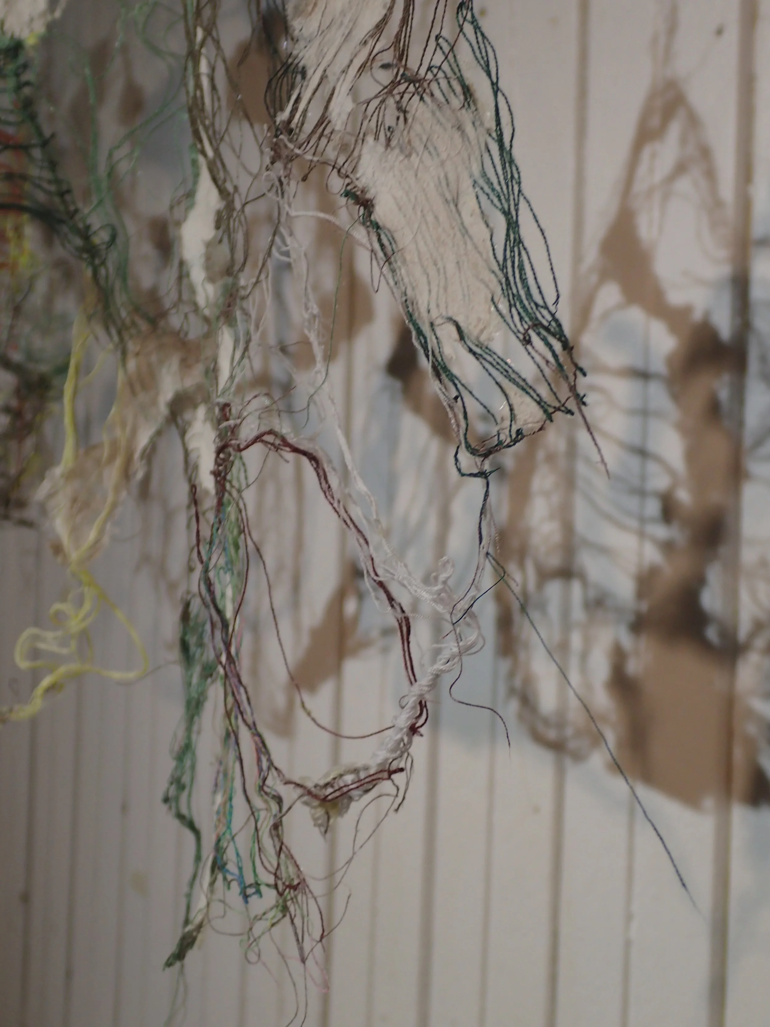 5. Fields_Partridge.jpg