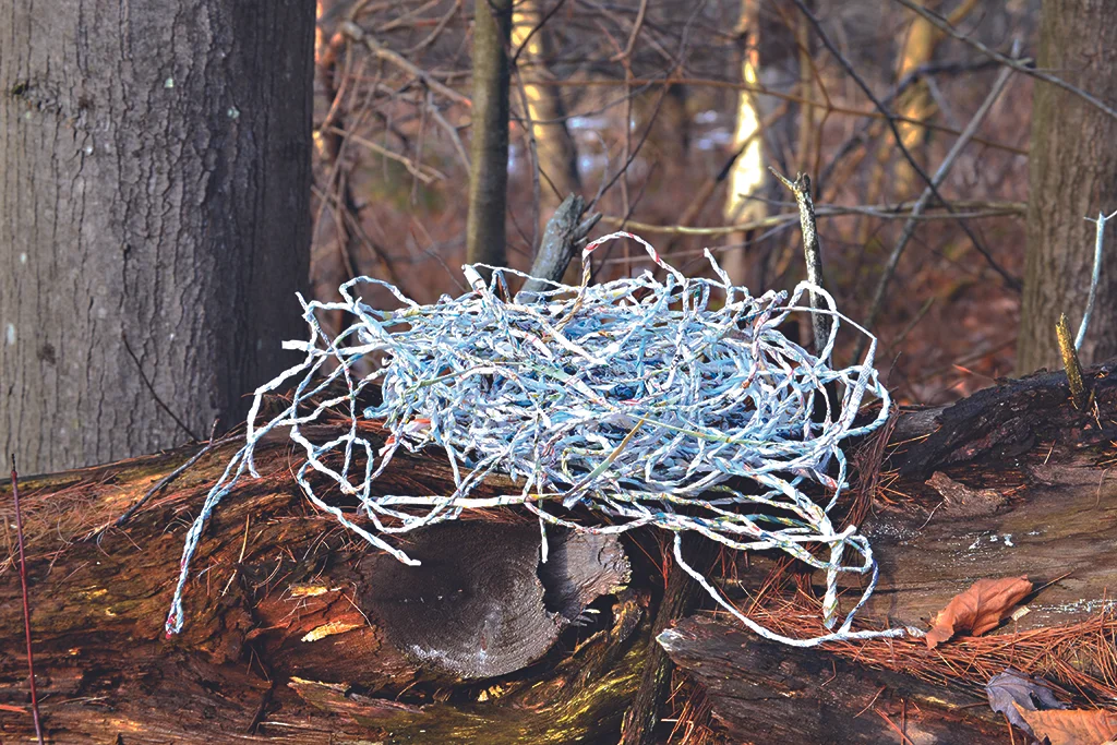 A nook for a nest 4.jpg