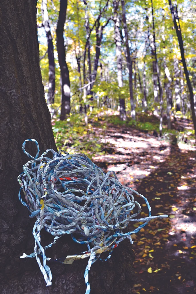 A nook for a nest2.jpg