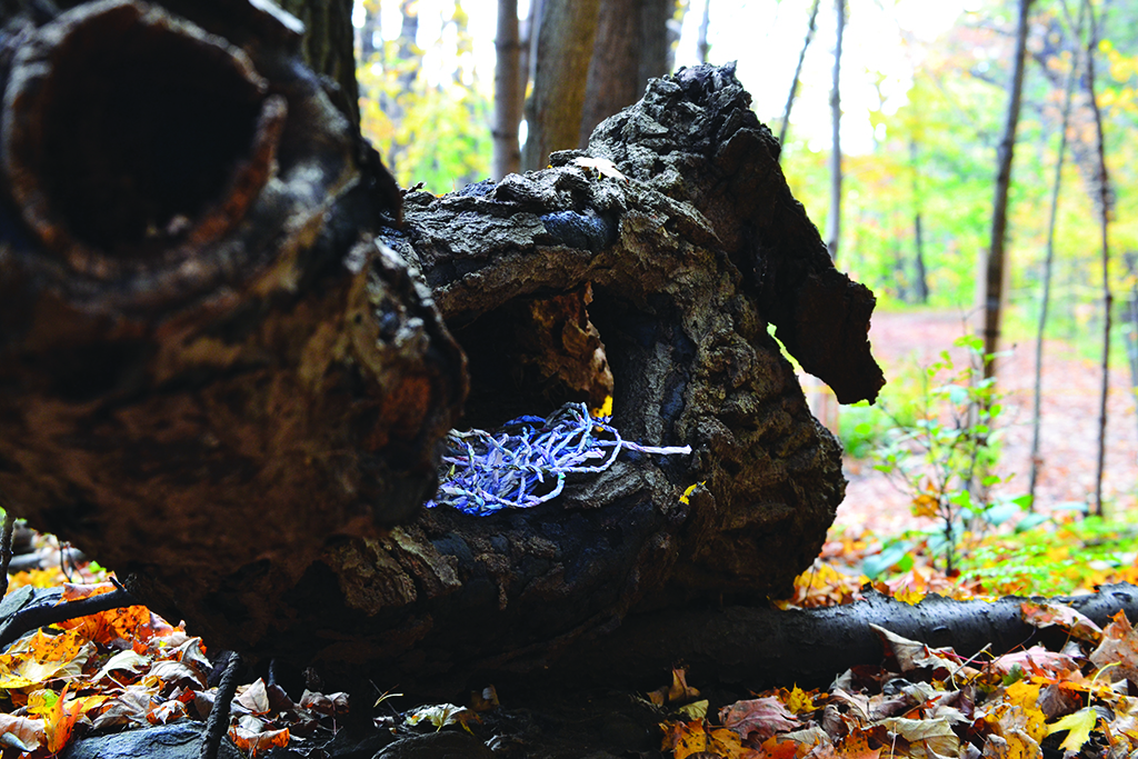 Nook for a nest 3.jpg