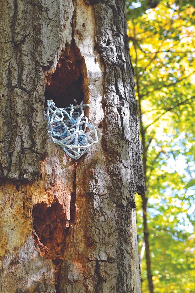 A nook for a nest 1.jpg
