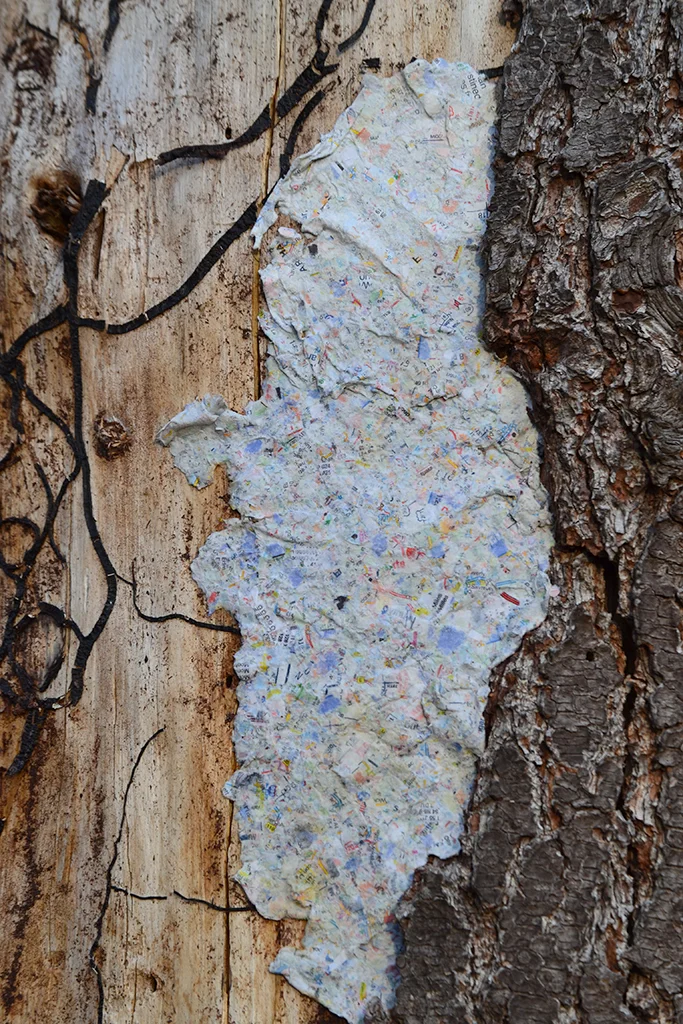 Patched