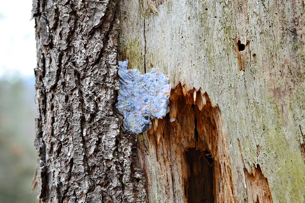 Patched 