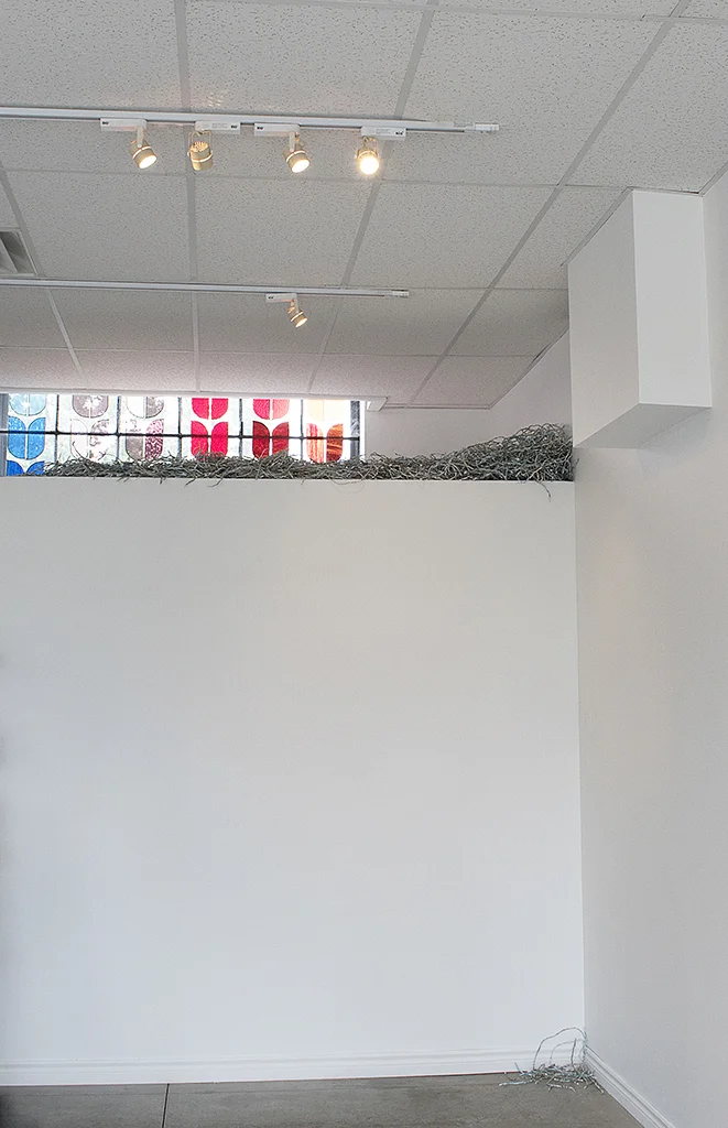   Birds Adapted: For Flight or Fancy,  Teresa Seaton Gallery, Burlington, ON, 2019 