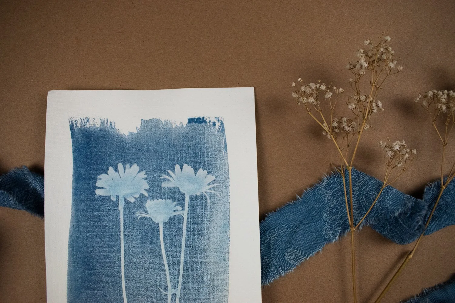 Jackie Partridge Cyanotype of Daisies, 2021
