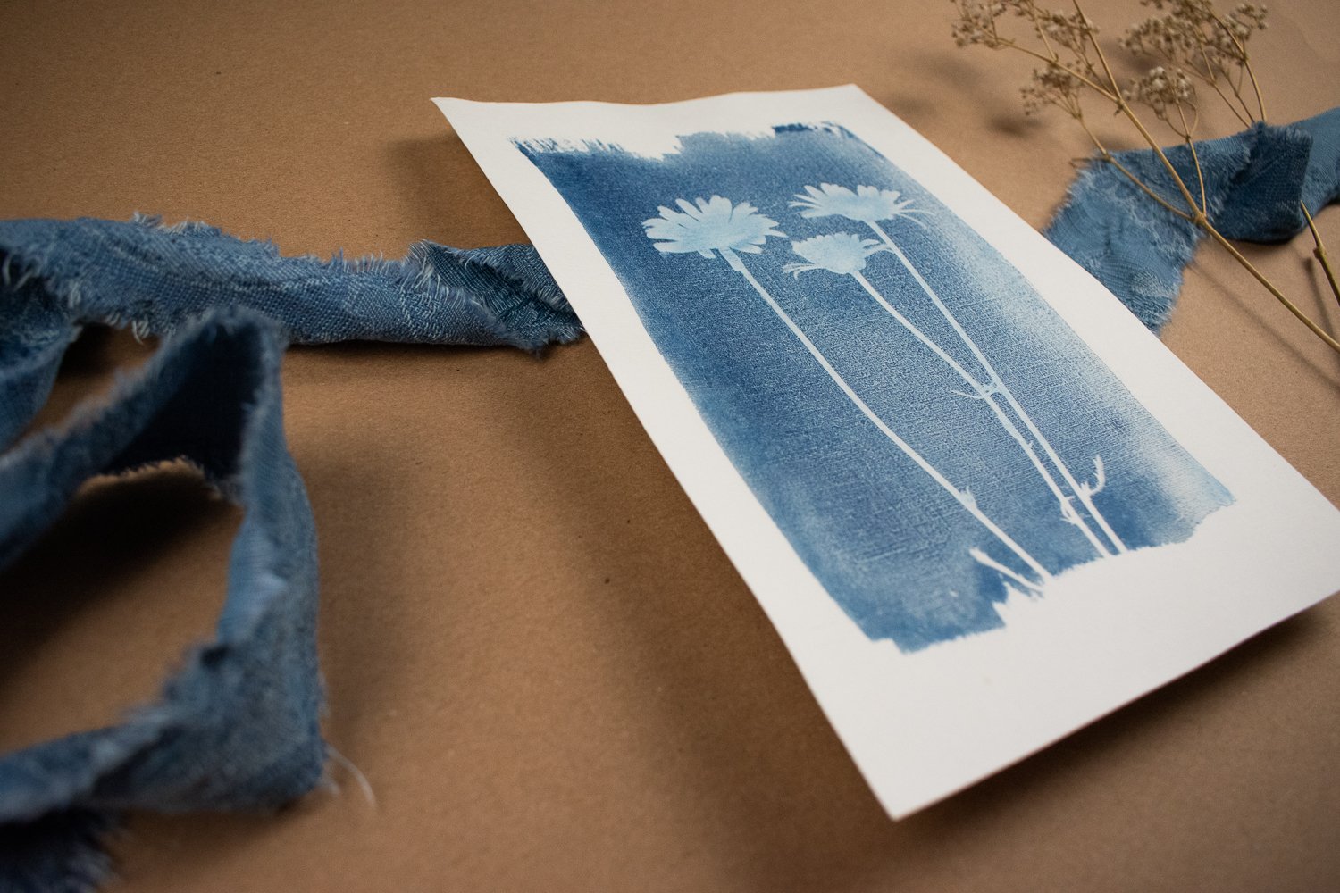Jackie Partridge Cyanotype of Daisies, 2021