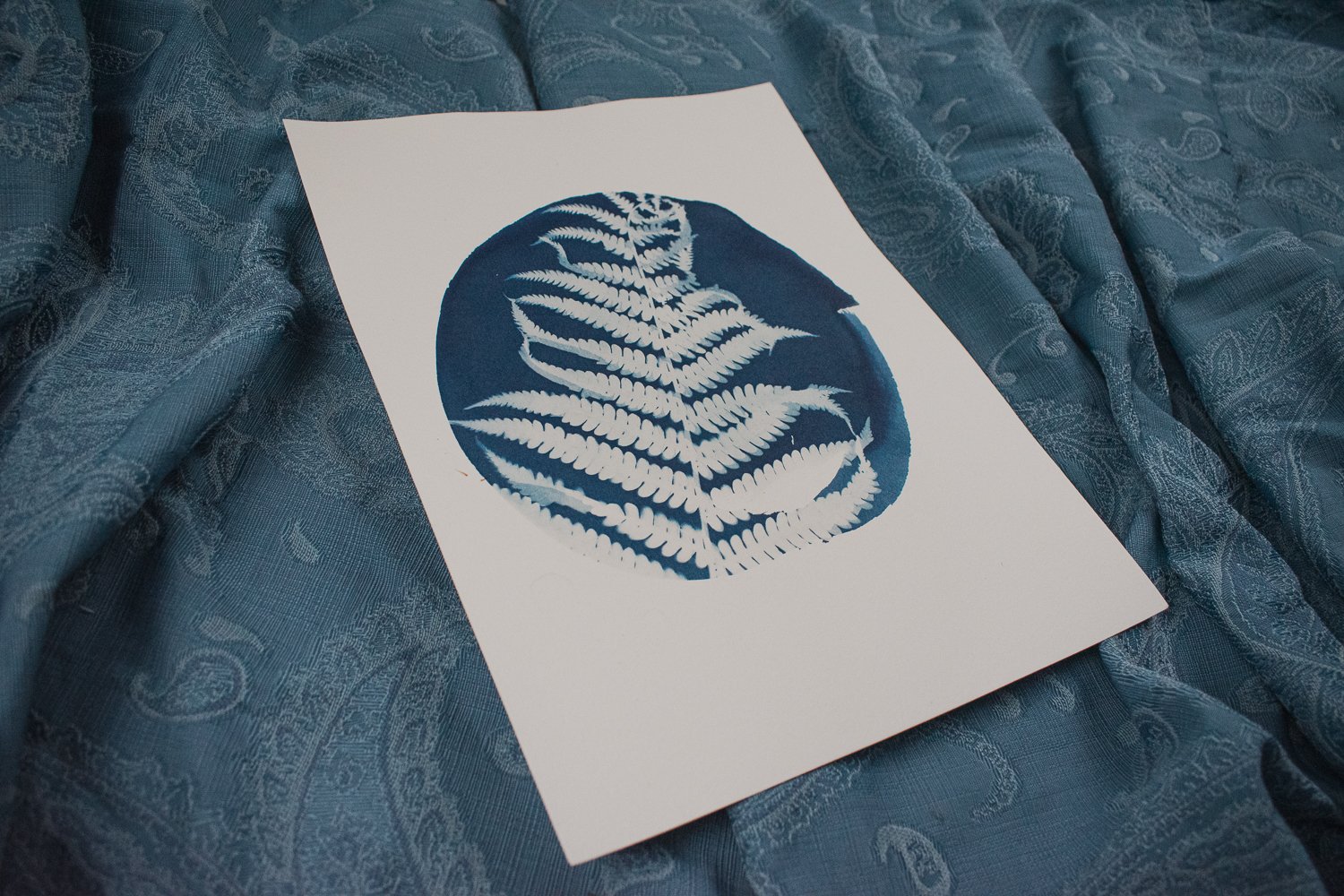 Jackie Partridge Round Fern Cyanotype, 2021