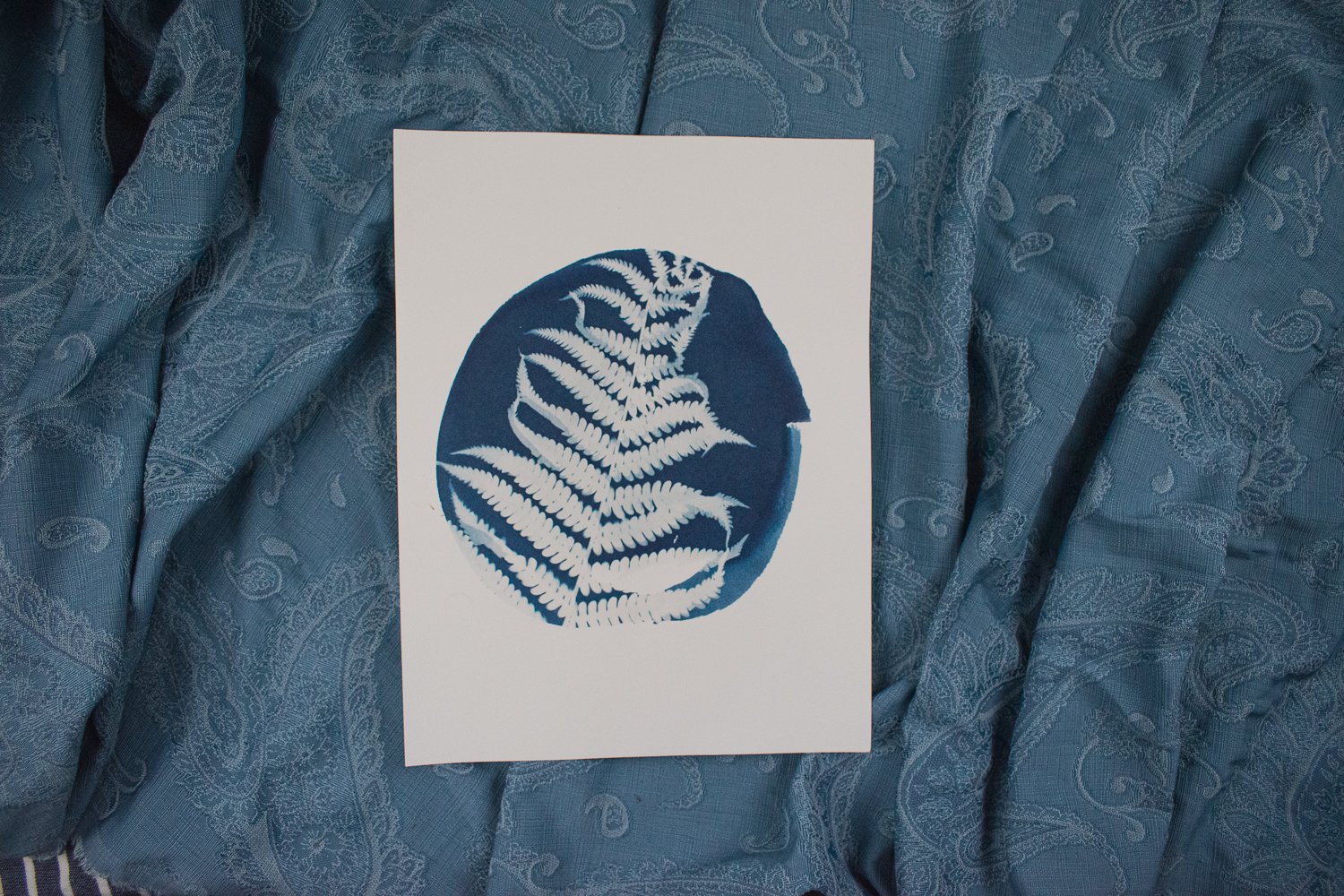 Jackie Partridge Round Fern Cyanotype, 2021