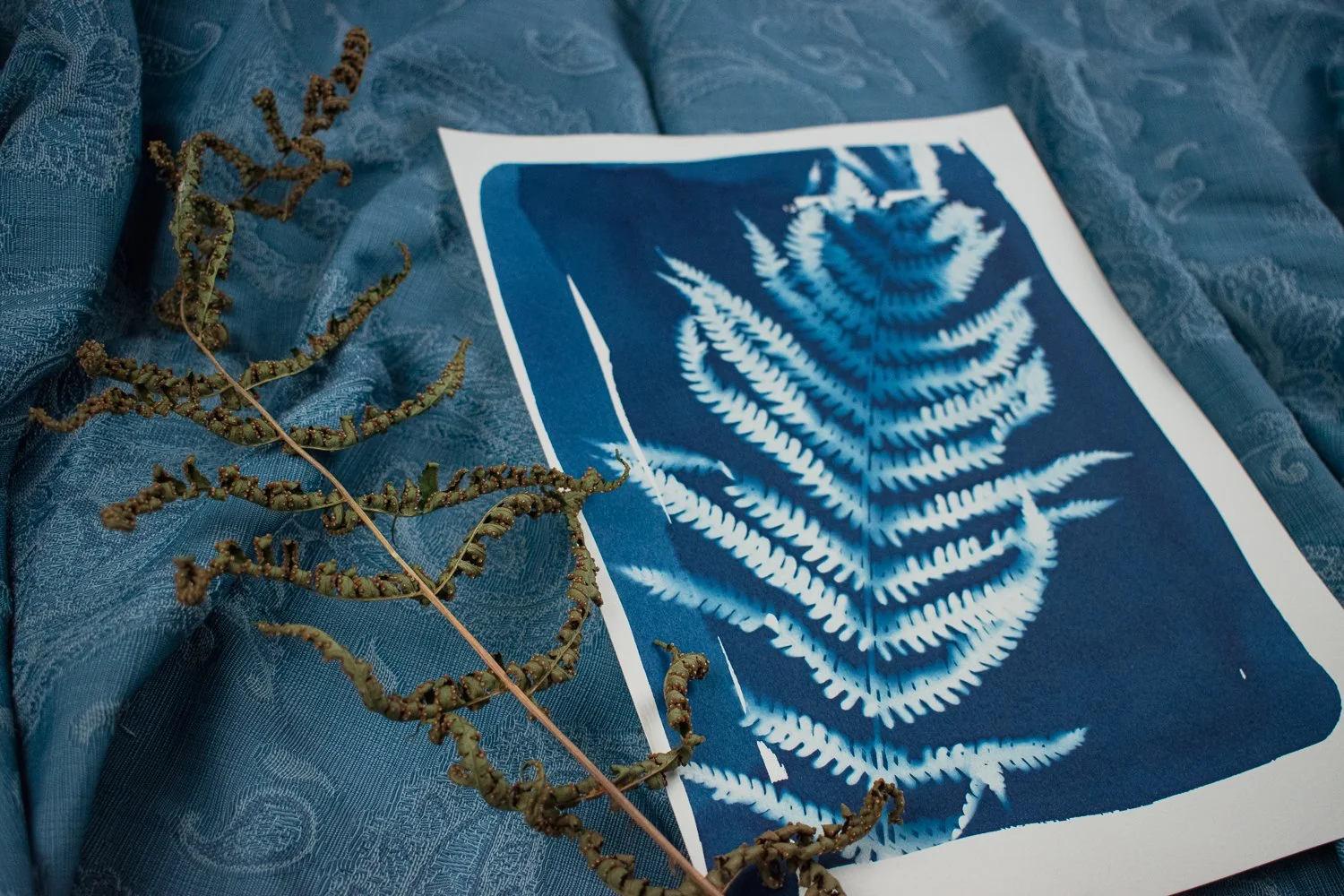 Jackie Partridge Blue Fern Cyanotype, 2021