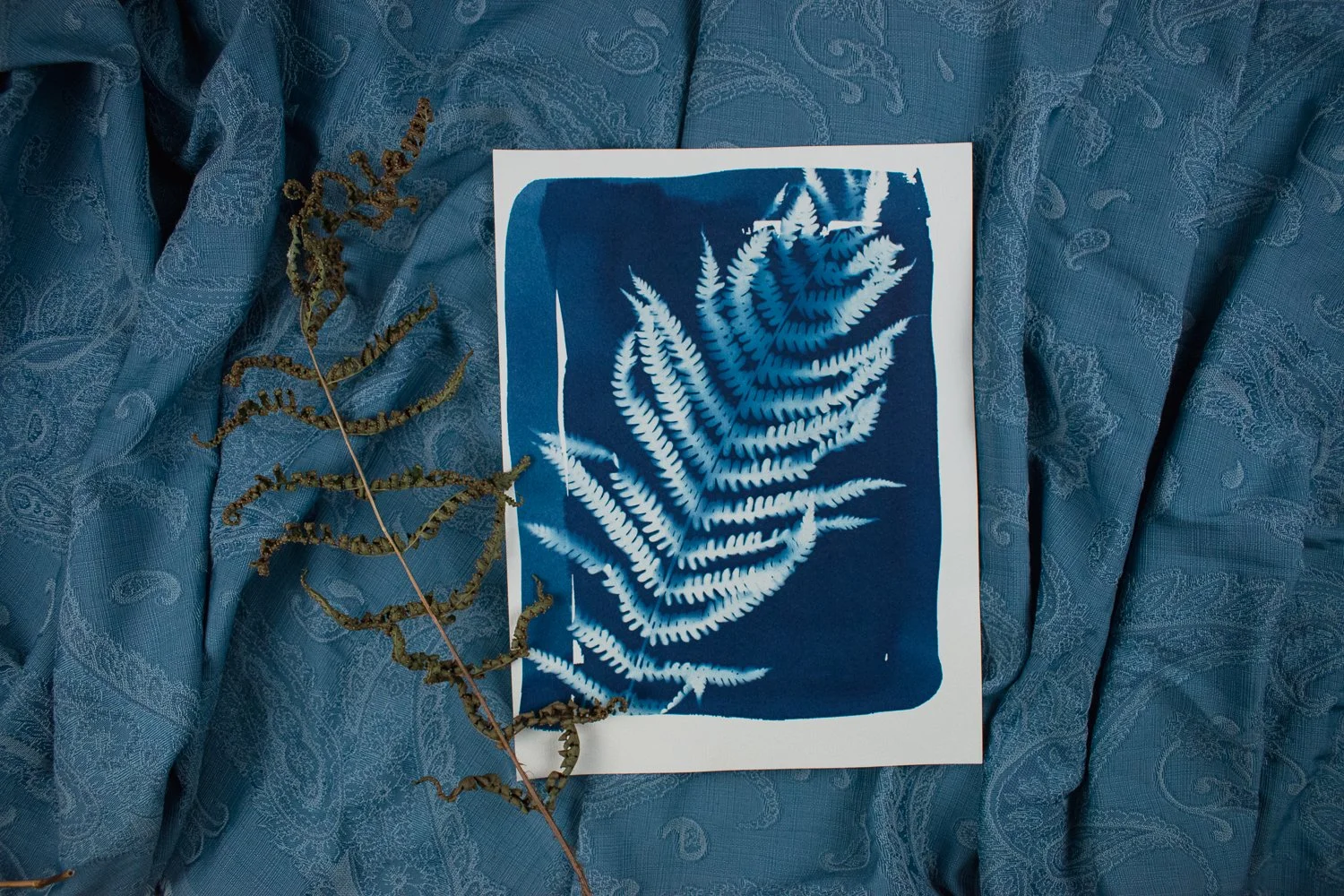 Jackie Partridge Blue Fern Cyanotype, 2021