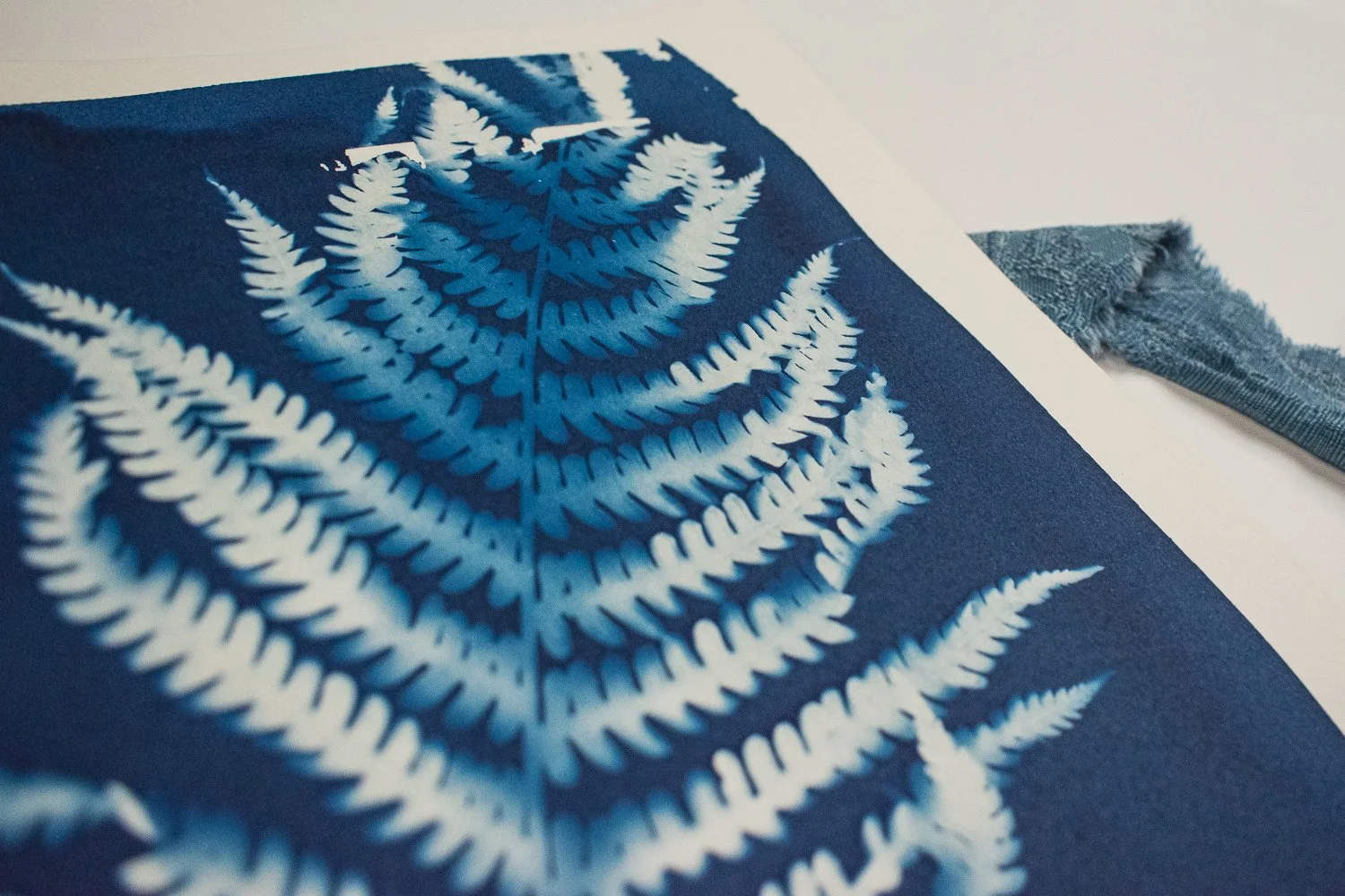 Jackie Partridge Blue Fern Cyanotype Art, 2021