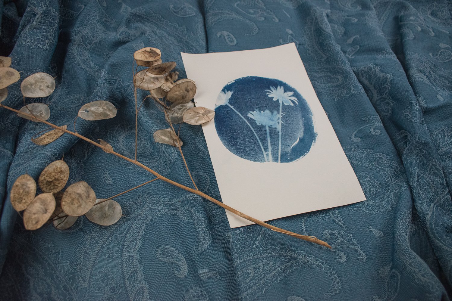 Jackie Partridge Blue Daisies Cyanotype, 2021