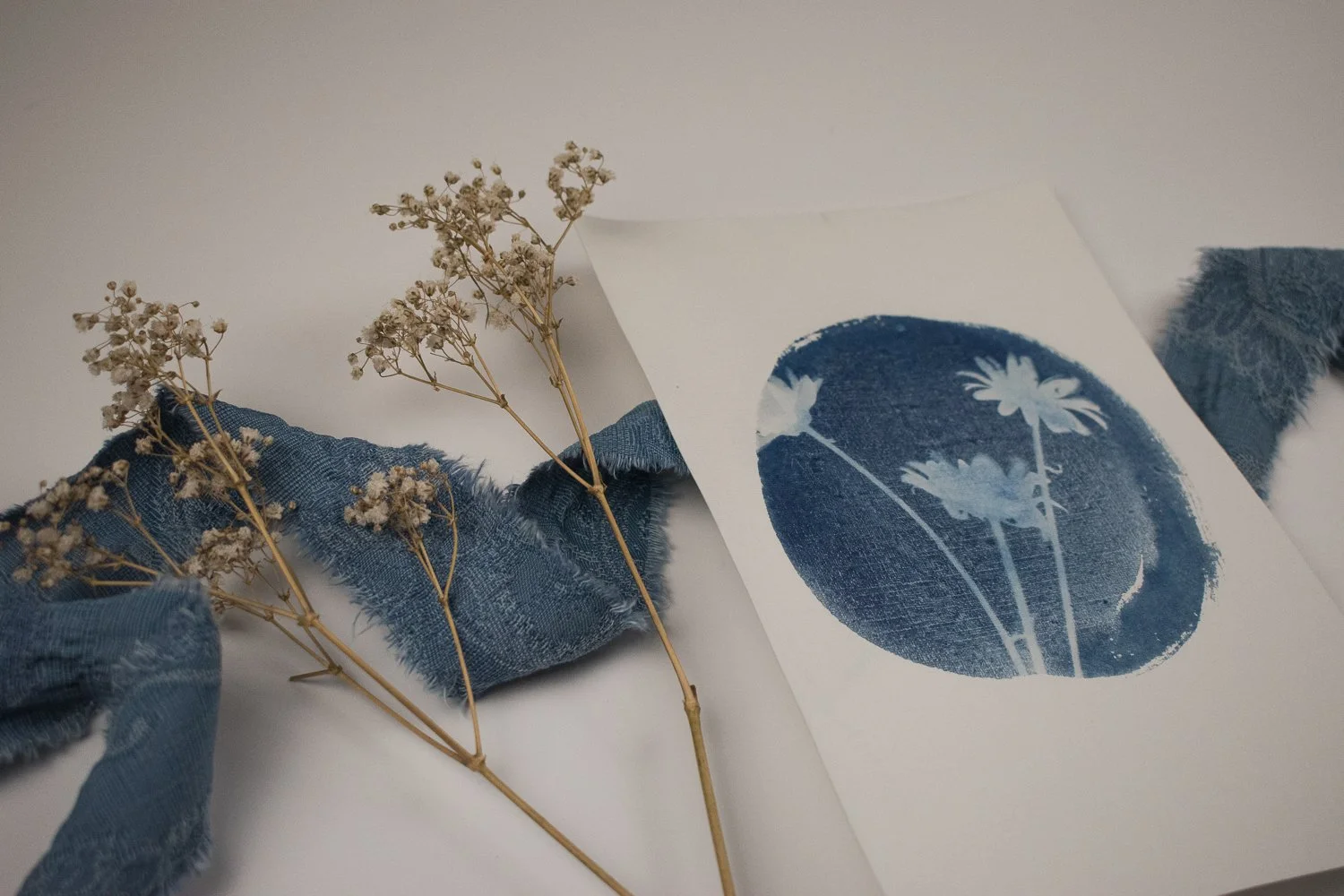 Jackie Partridge Daisies Cyanotype, 2021