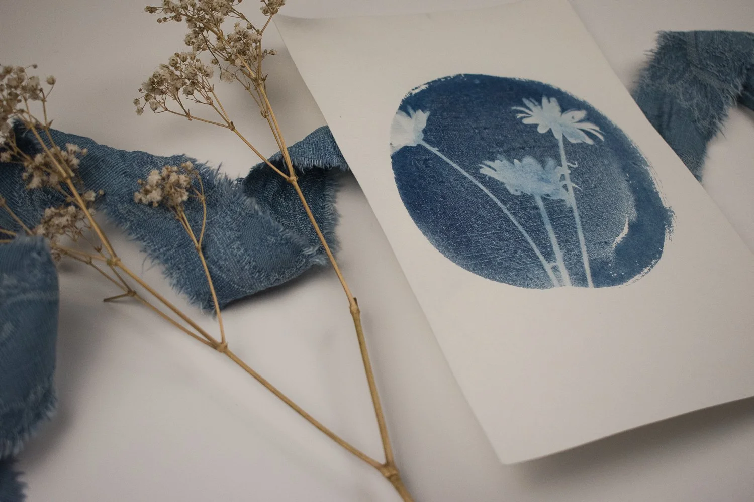 Jackie Partridge Daisies Cyanotype, 2021