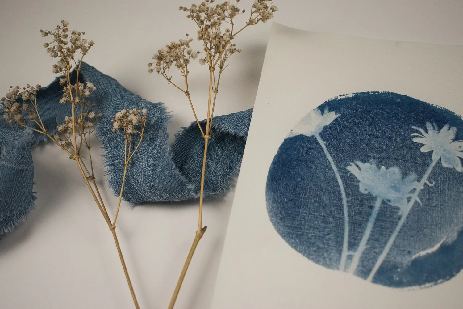 Jackie Partridge Daisies Cyanotype, 2021