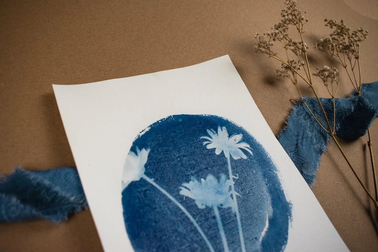 Jackie Partridge Daisies Cyanotype, 2021