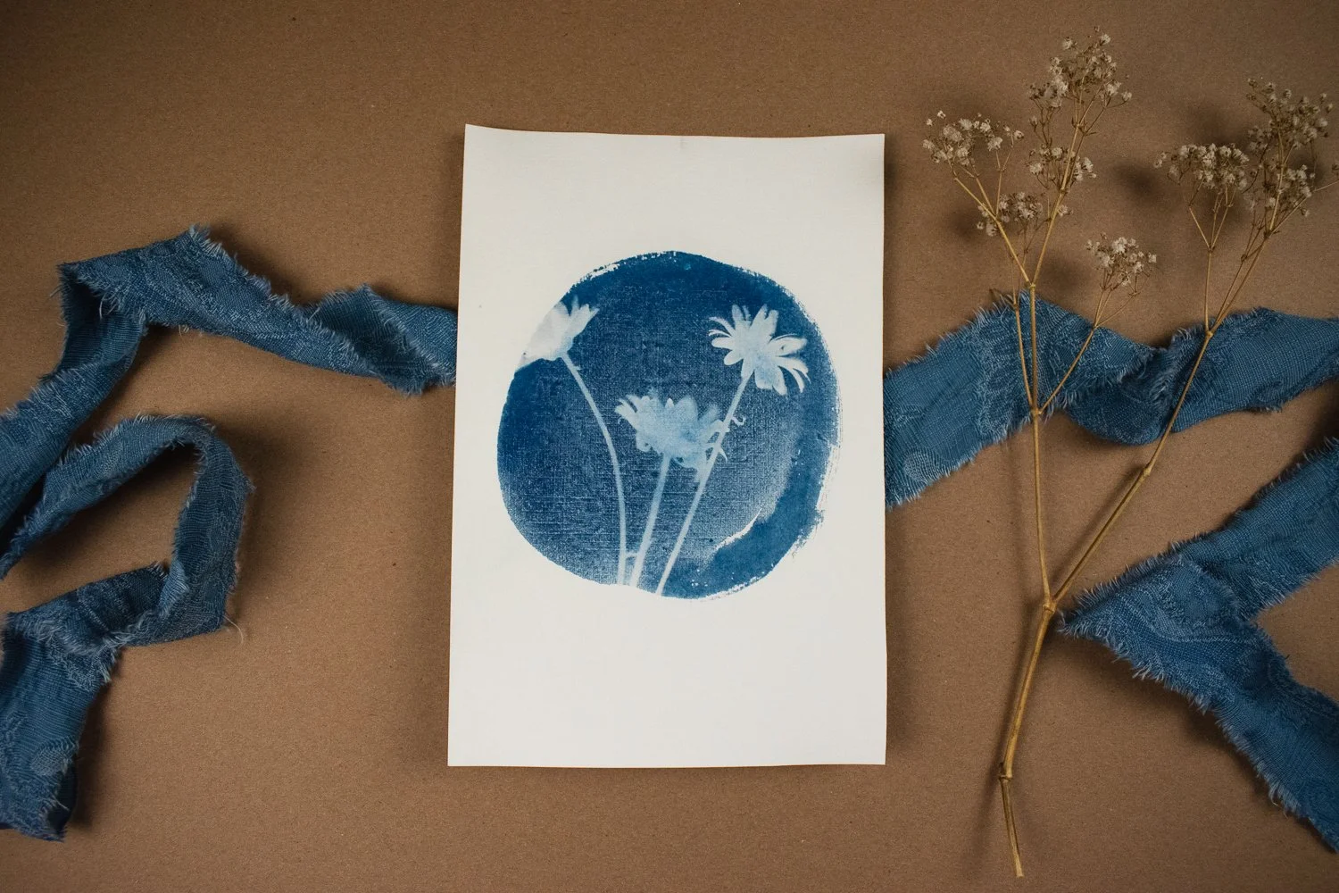 Jackie Partridge Daisies Cyanotype, 2021