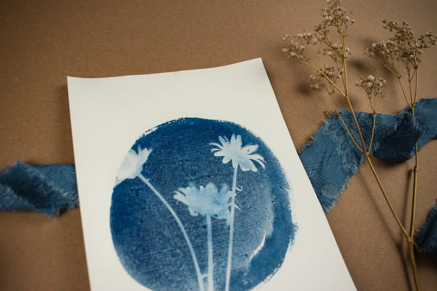 Jackie Partridge Daisies Cyanotypes, 2021