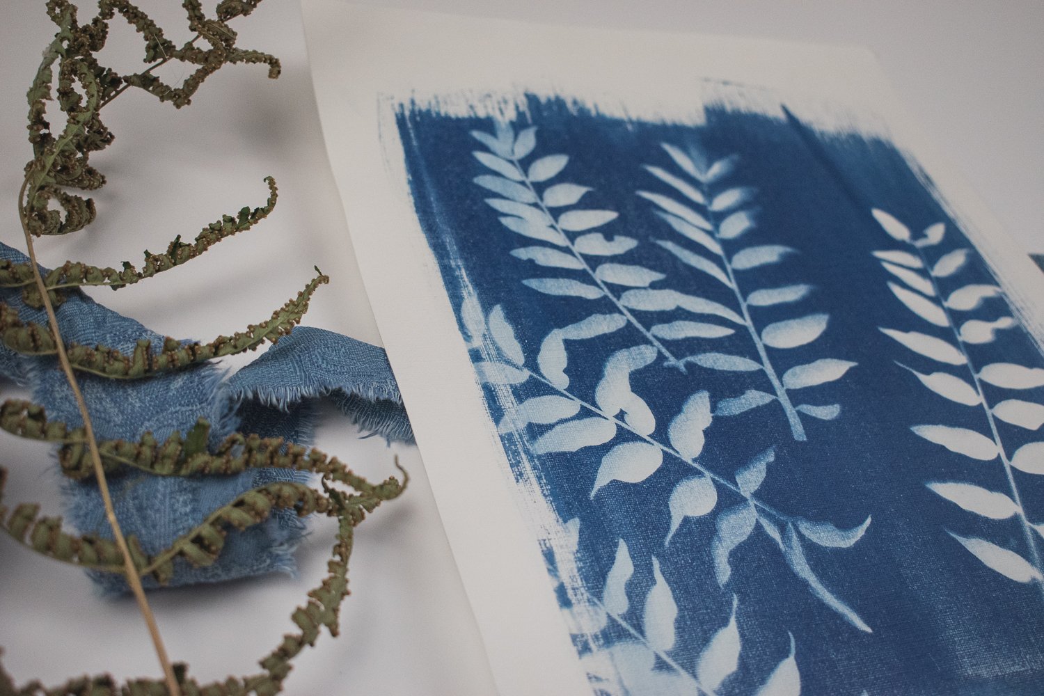 Jackie Partridge Mini Ferns Cyanotype Art, 2021