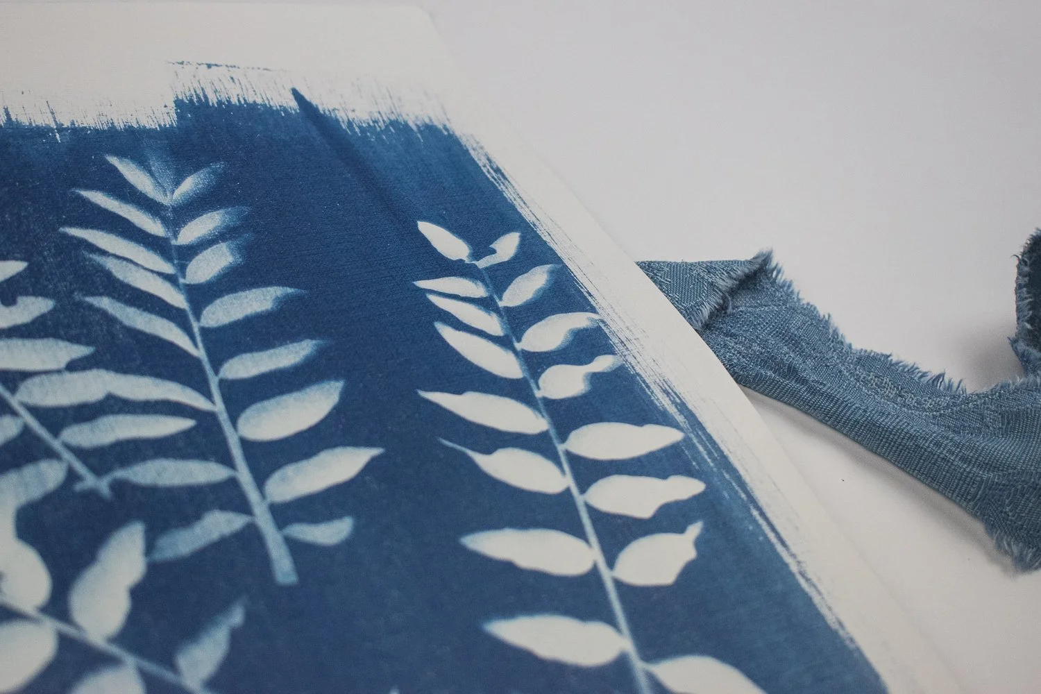 Jackie Partridge Mini Ferns Cyanotype Art, 2021