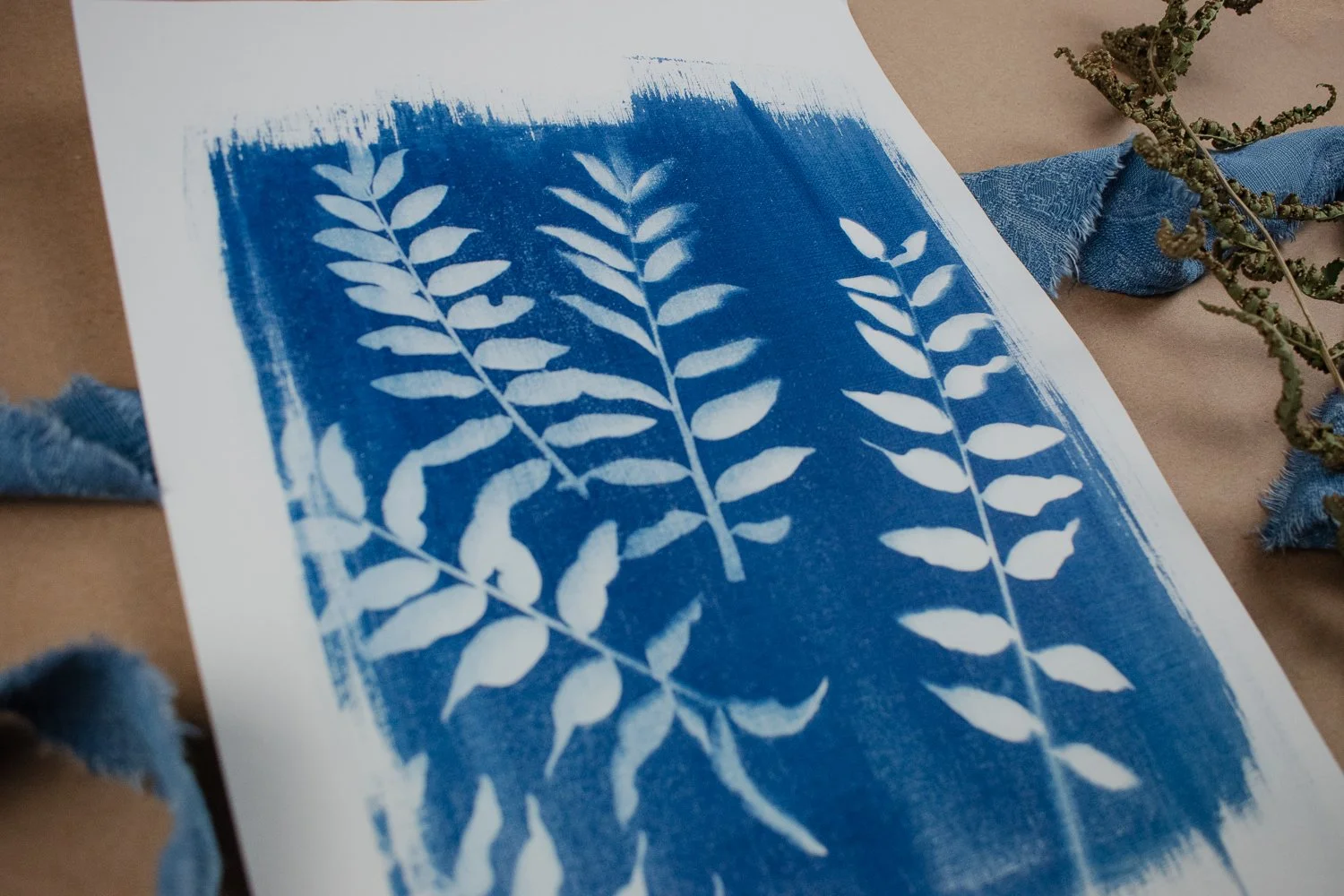 Jackie Partridge Mini Ferns Cyanotype Artwork, 2021