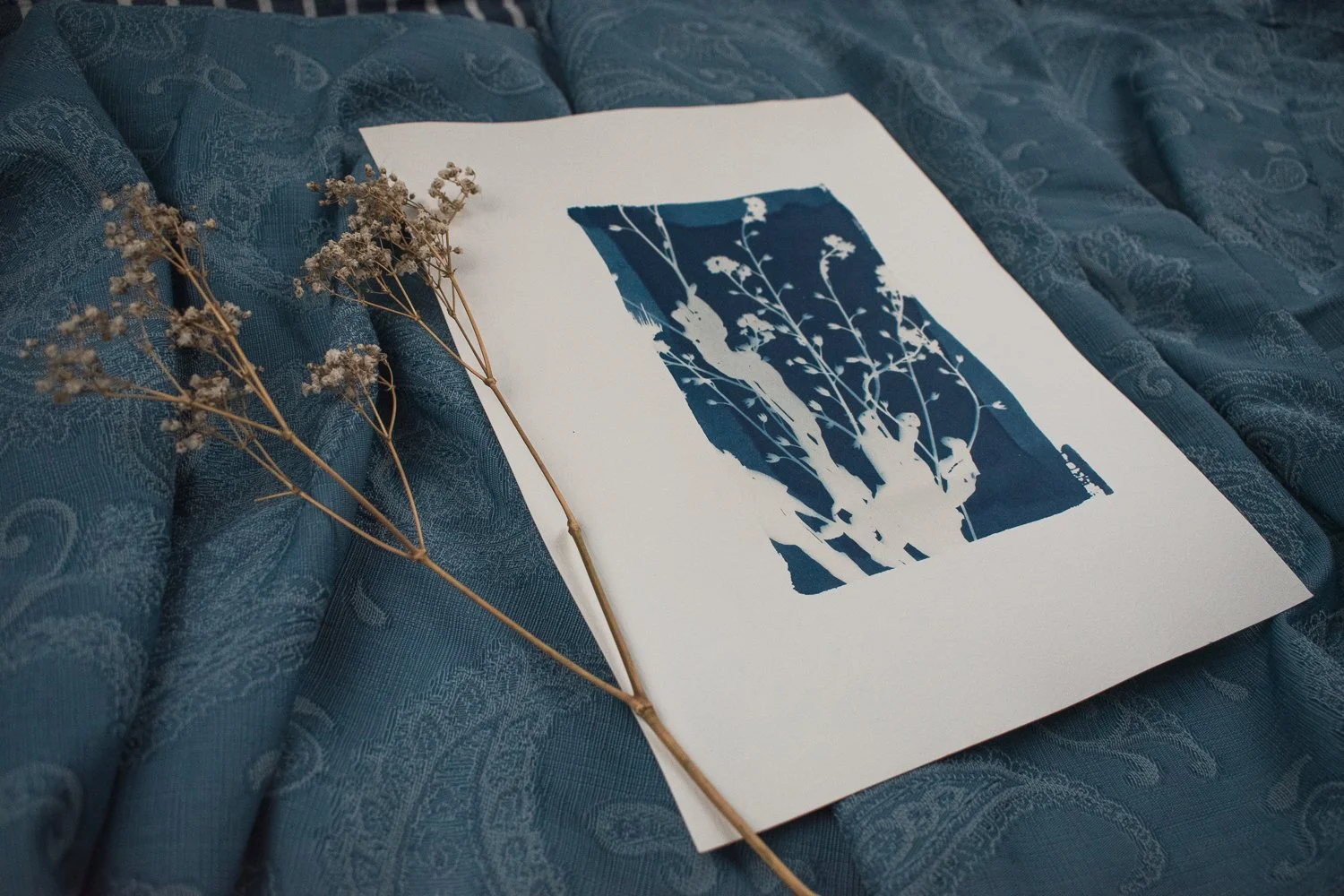 Jackie Partridge Forget me nots Cyanotype Art, 2021