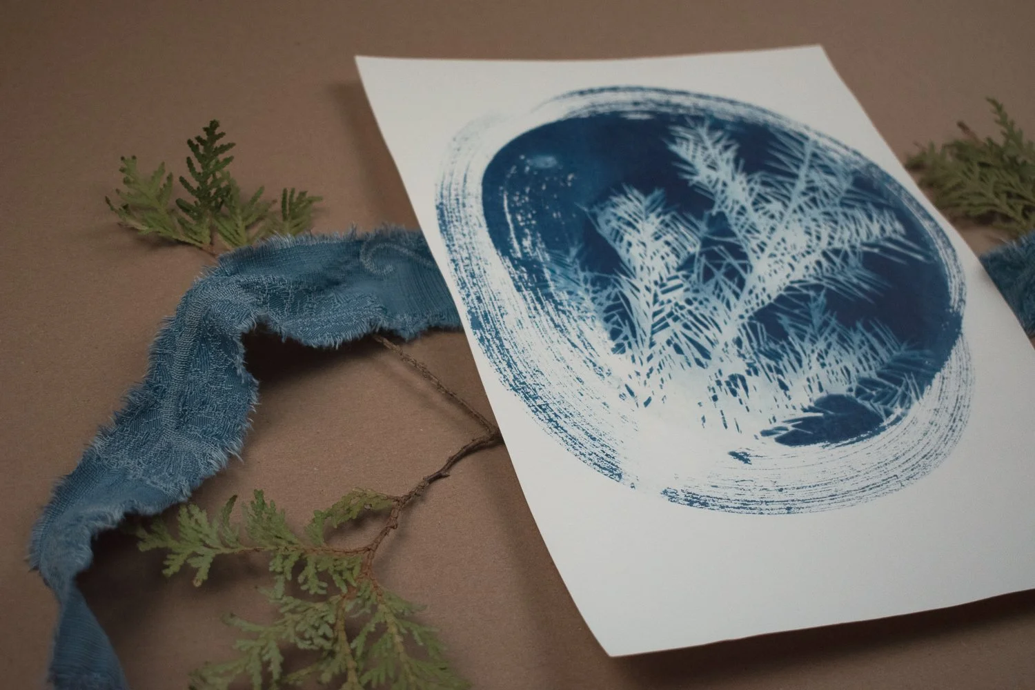 Jackie Partridge Round Pine Cyanotype, 2021