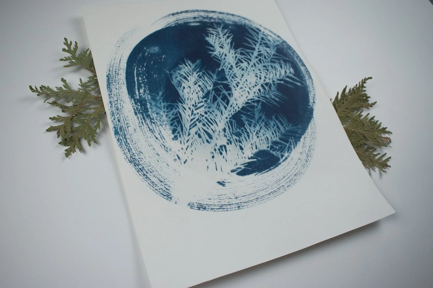 Jackie Partridge Round Blue Pine Cyanotype, 2021