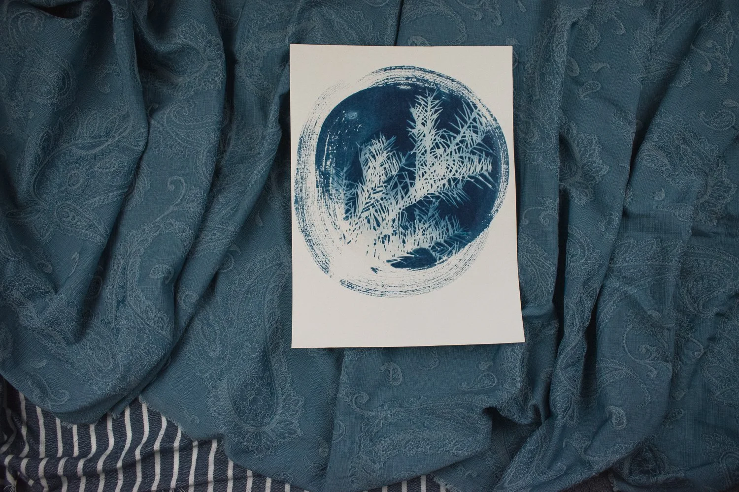 Jackie Partridge Round Blue Pine Branch Cyanotype, 2021