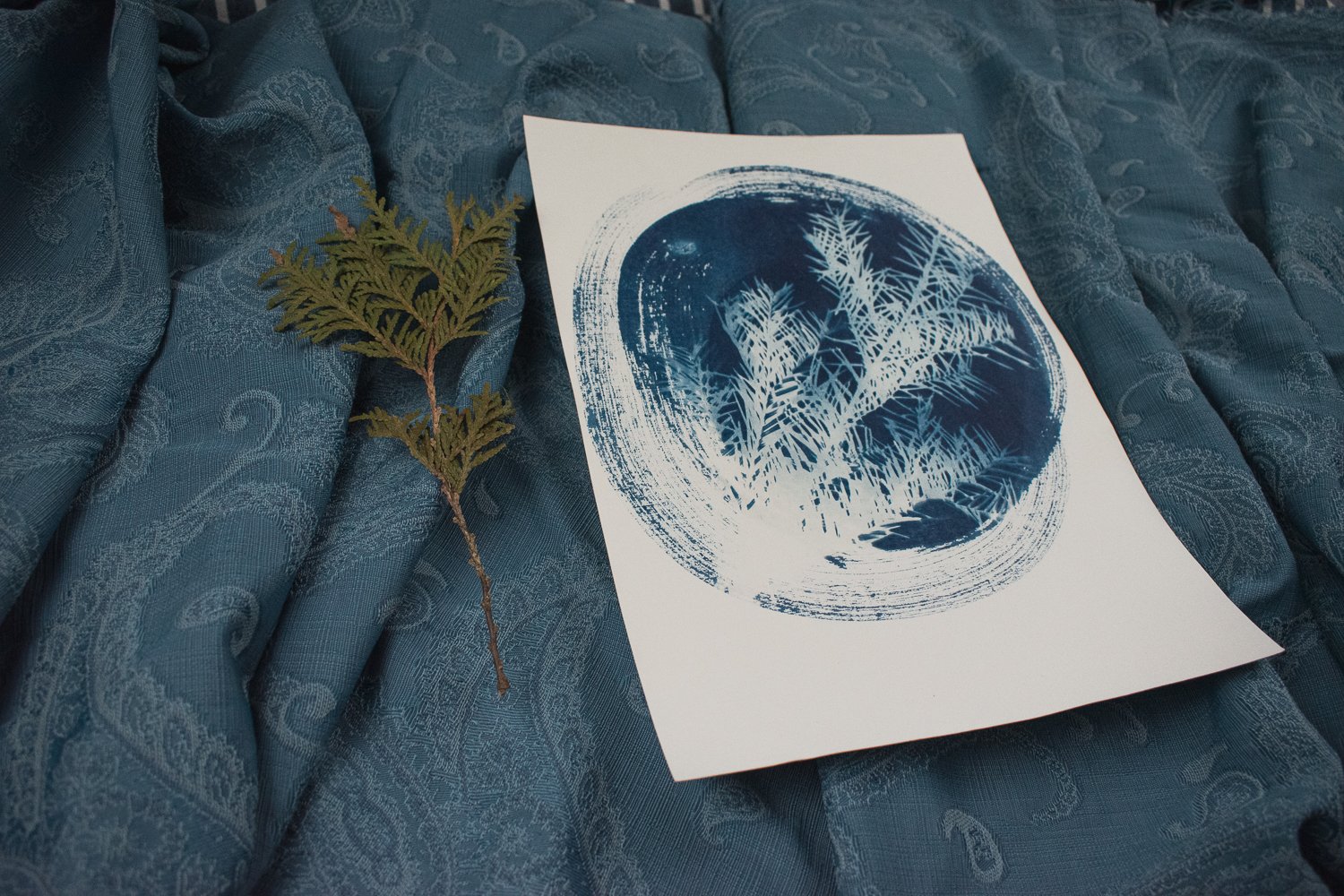 Jackie Partridge Round Blue Pine Branch Cyanotype, 2021