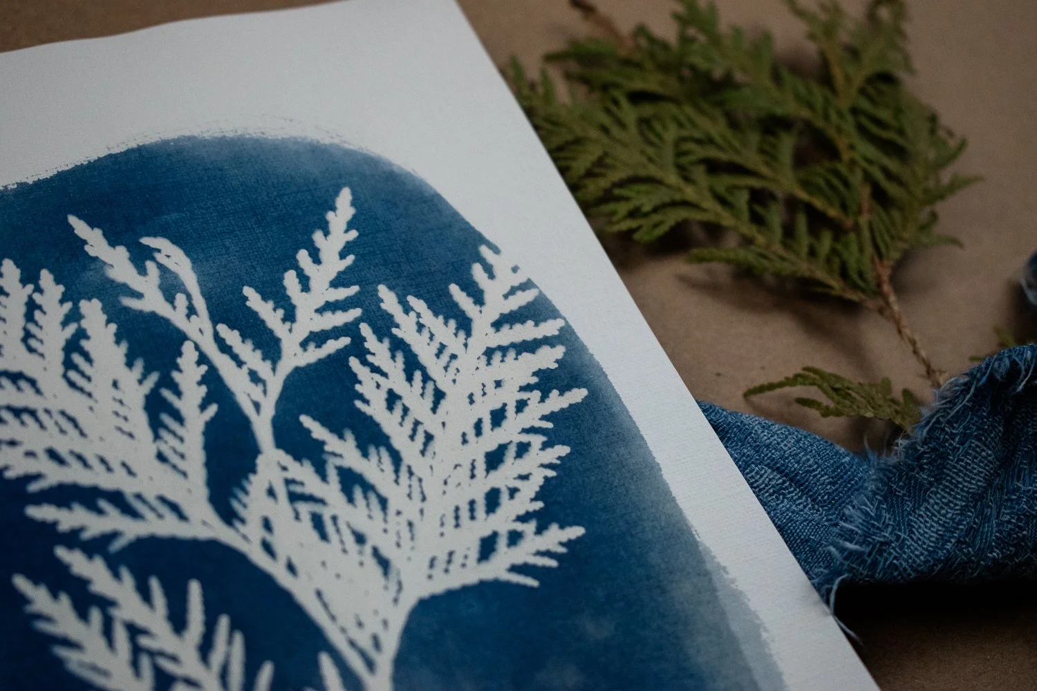 Jackie Partridge Cedar Cyanotype, 2021