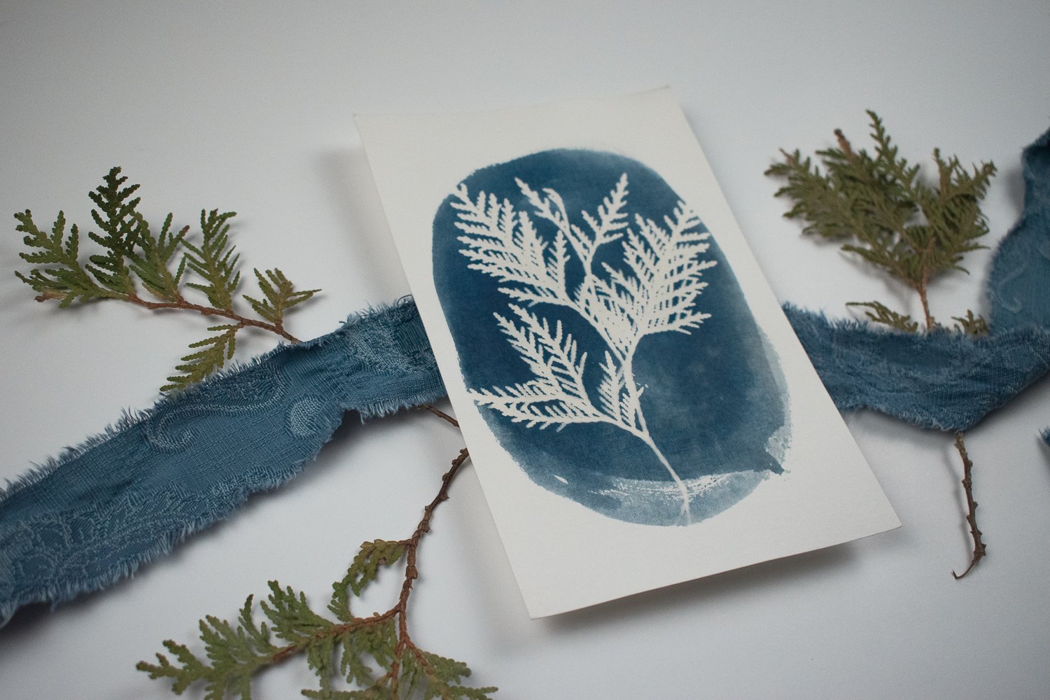 Jackie Partridge Cedar Cyanotype, 2021