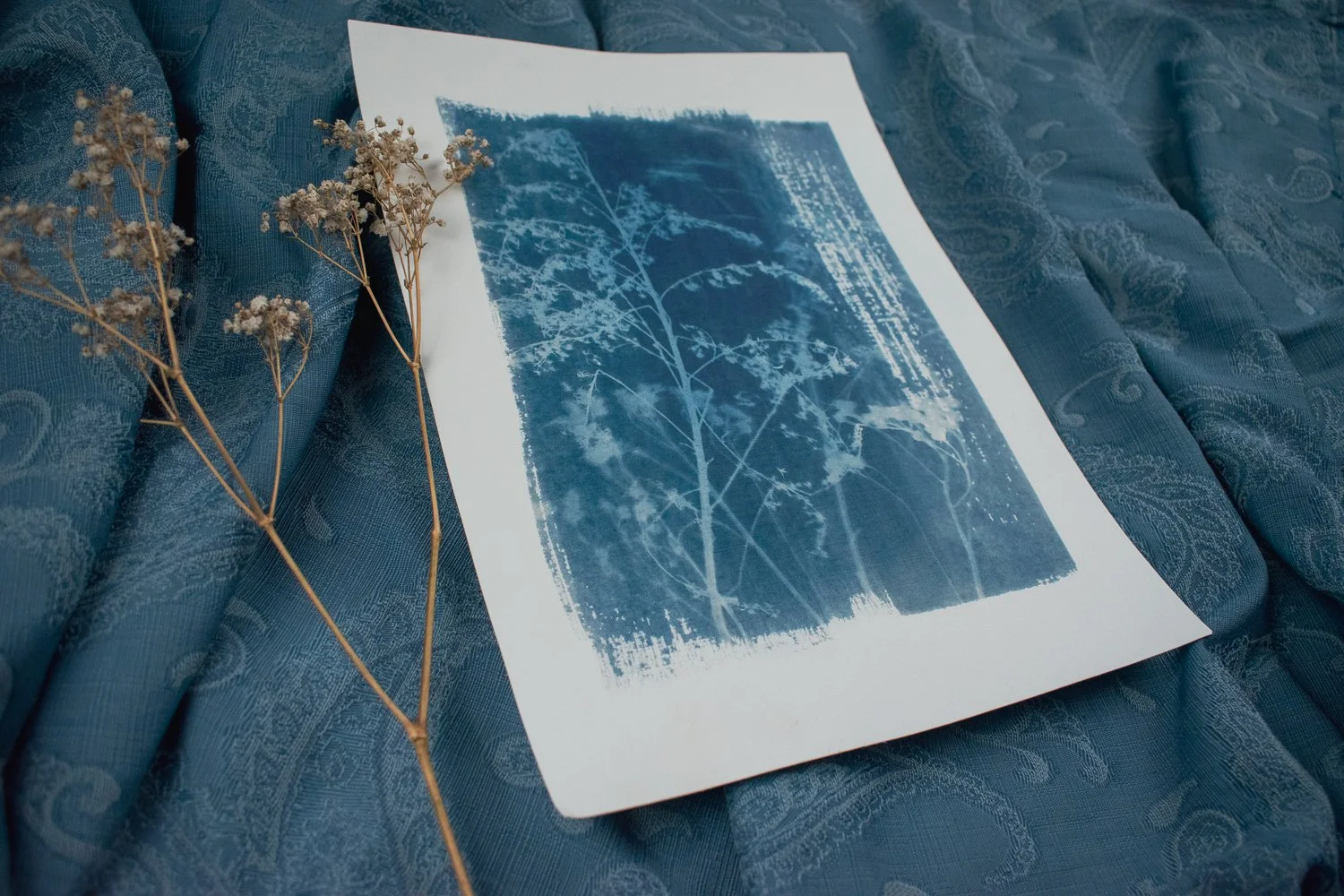 Jackie Partridge Large Wildflowers Cyanotype, 2021