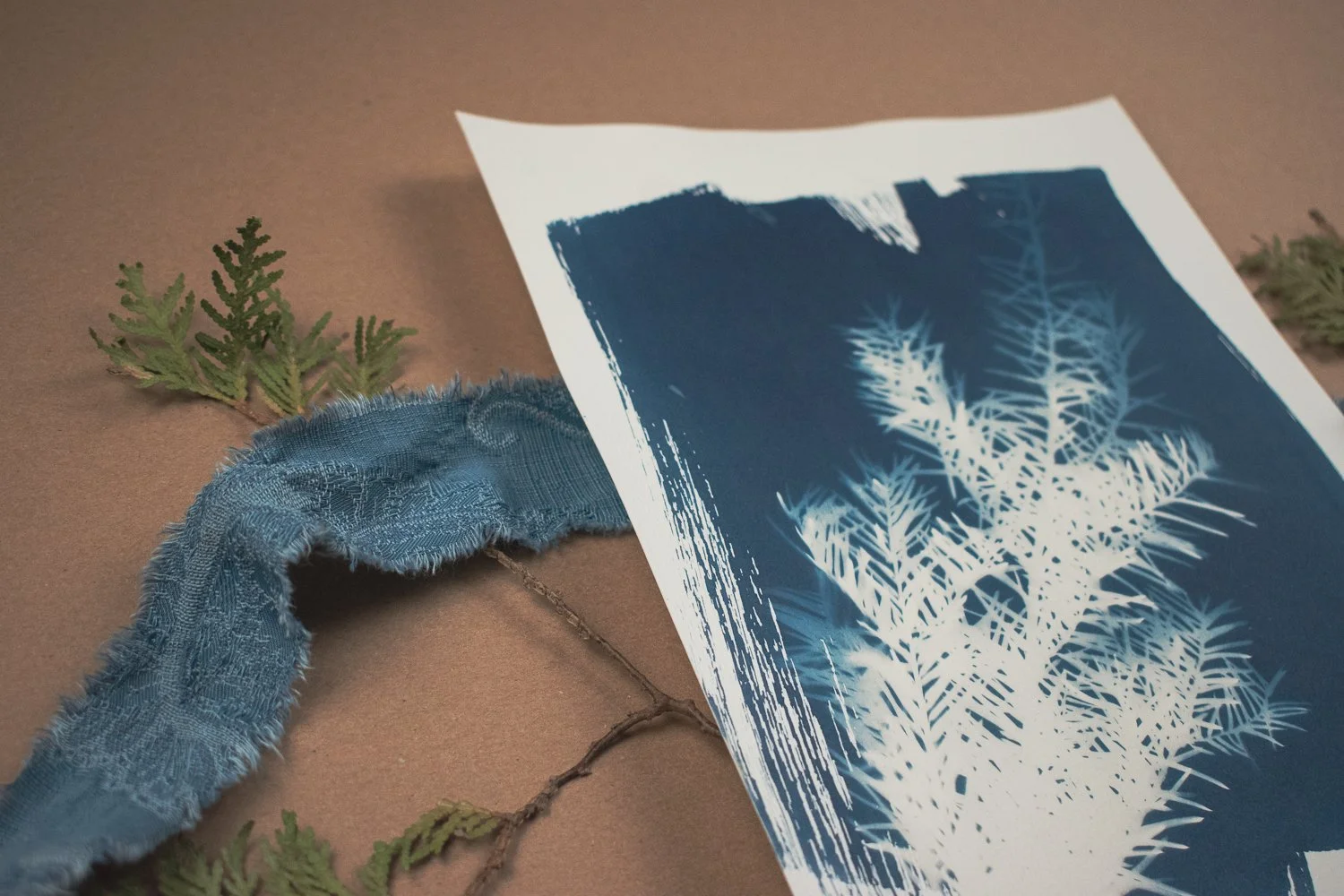 Jackie Partridge Pine Branch Cyanotype, 2021