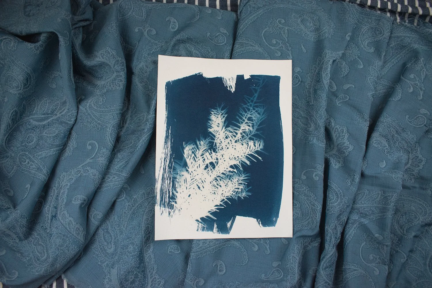 Jackie Partridge Pine Cyanotype Art, 2021