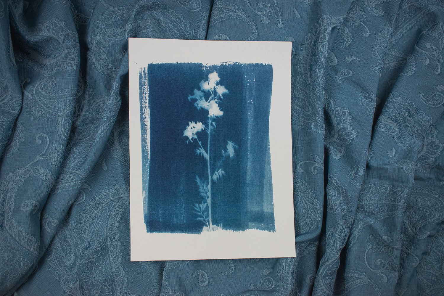Paper Making with Recycled Blue Jeans — Jackie Partridge