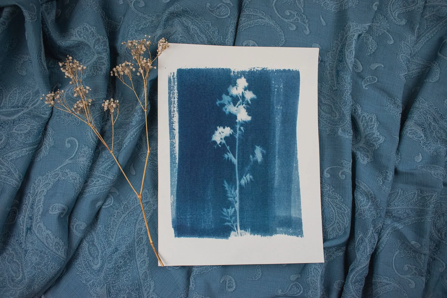 Wildflower Cyanotype by Jackie Partridge, 2021