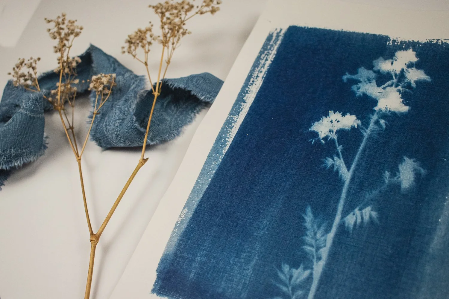 Wildflowers Cyanotype by Jackie Partridge, 2021