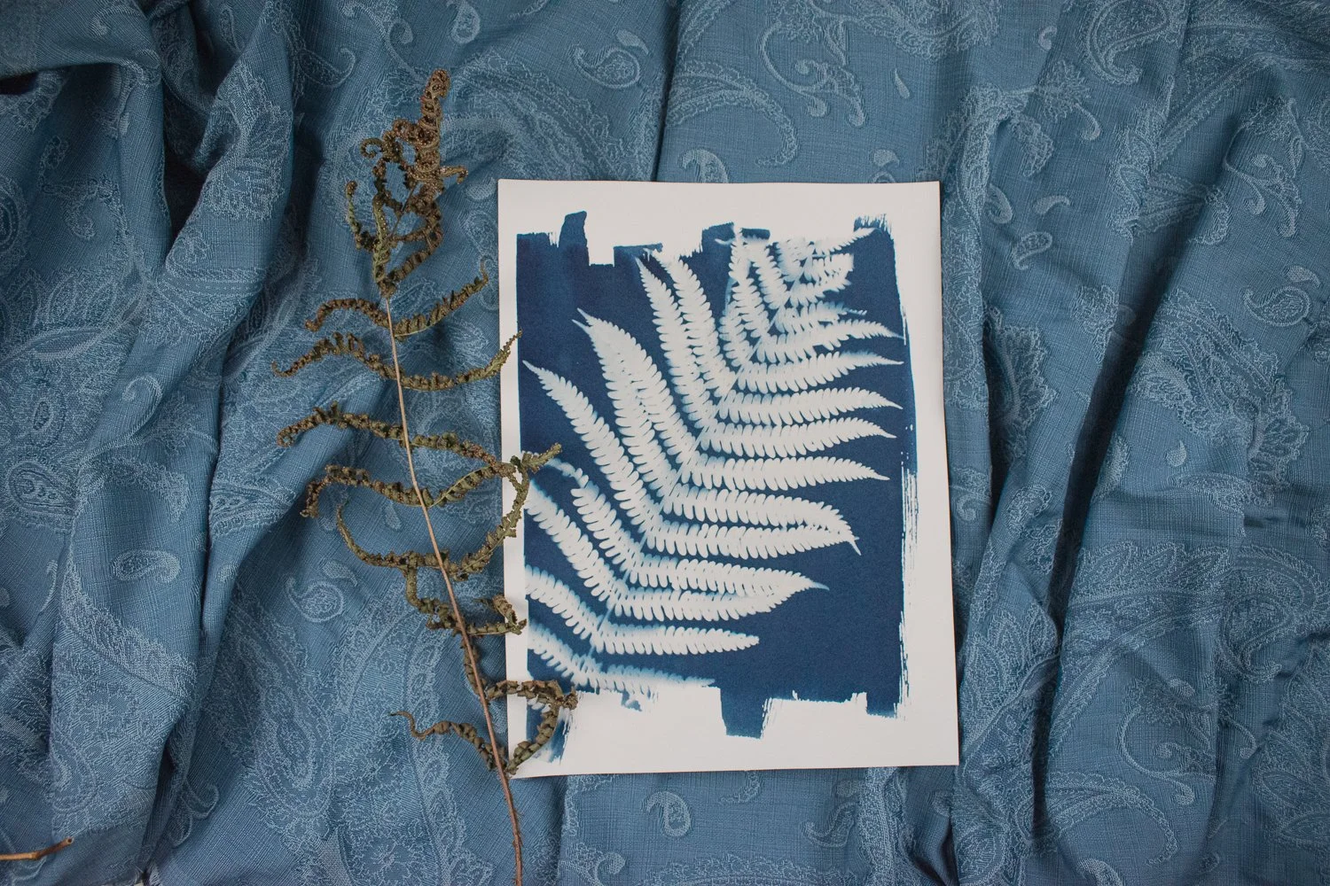 Jackie Partridge Big Fern Cyanotype Artwork, 2021