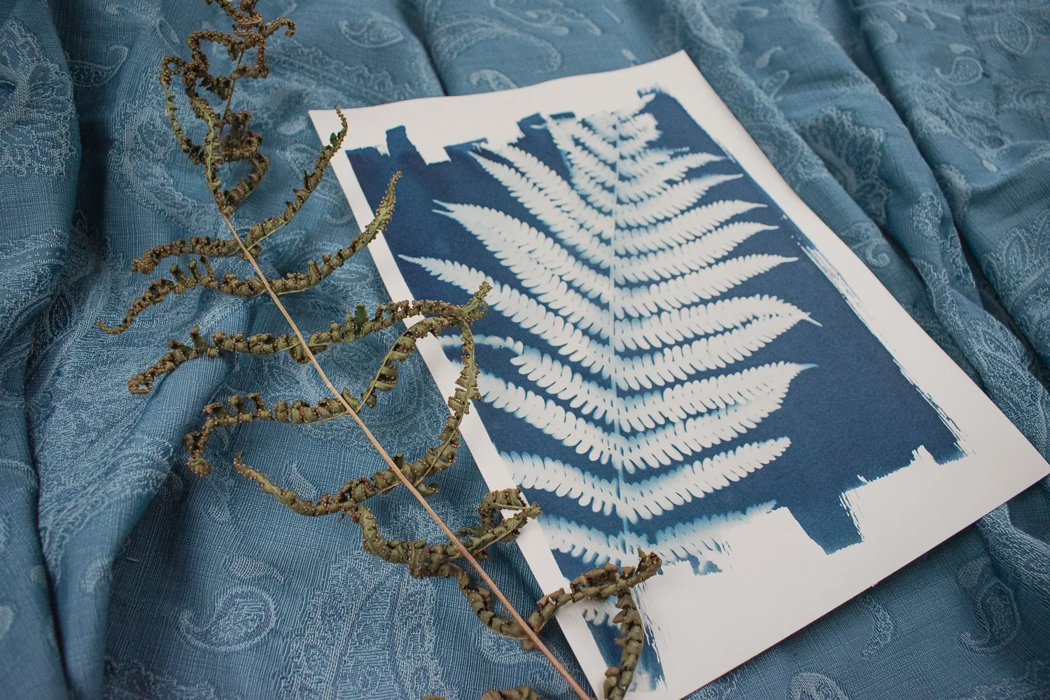 Jackie Partridge Big Fern Cyanotype Artwork, 2021