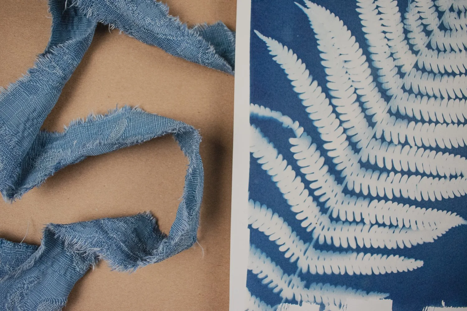 Jackie Partridge Big Blue Fern Cyanotypes, 2021