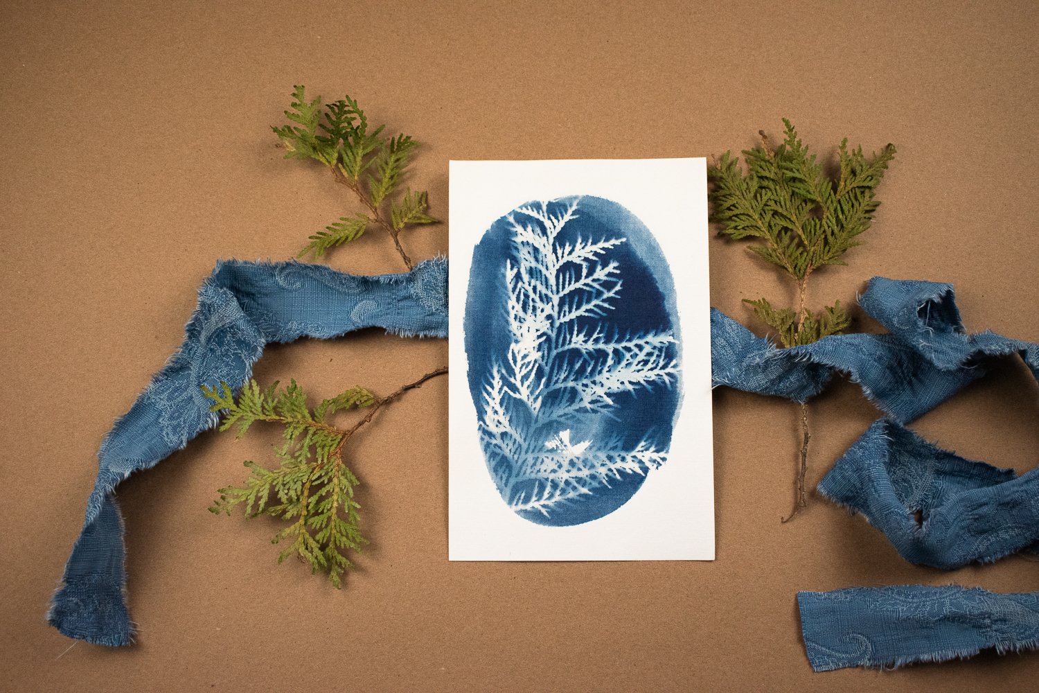 Jackie Partridge  Small Blue Cedar Cyanotype Artwork, 2021