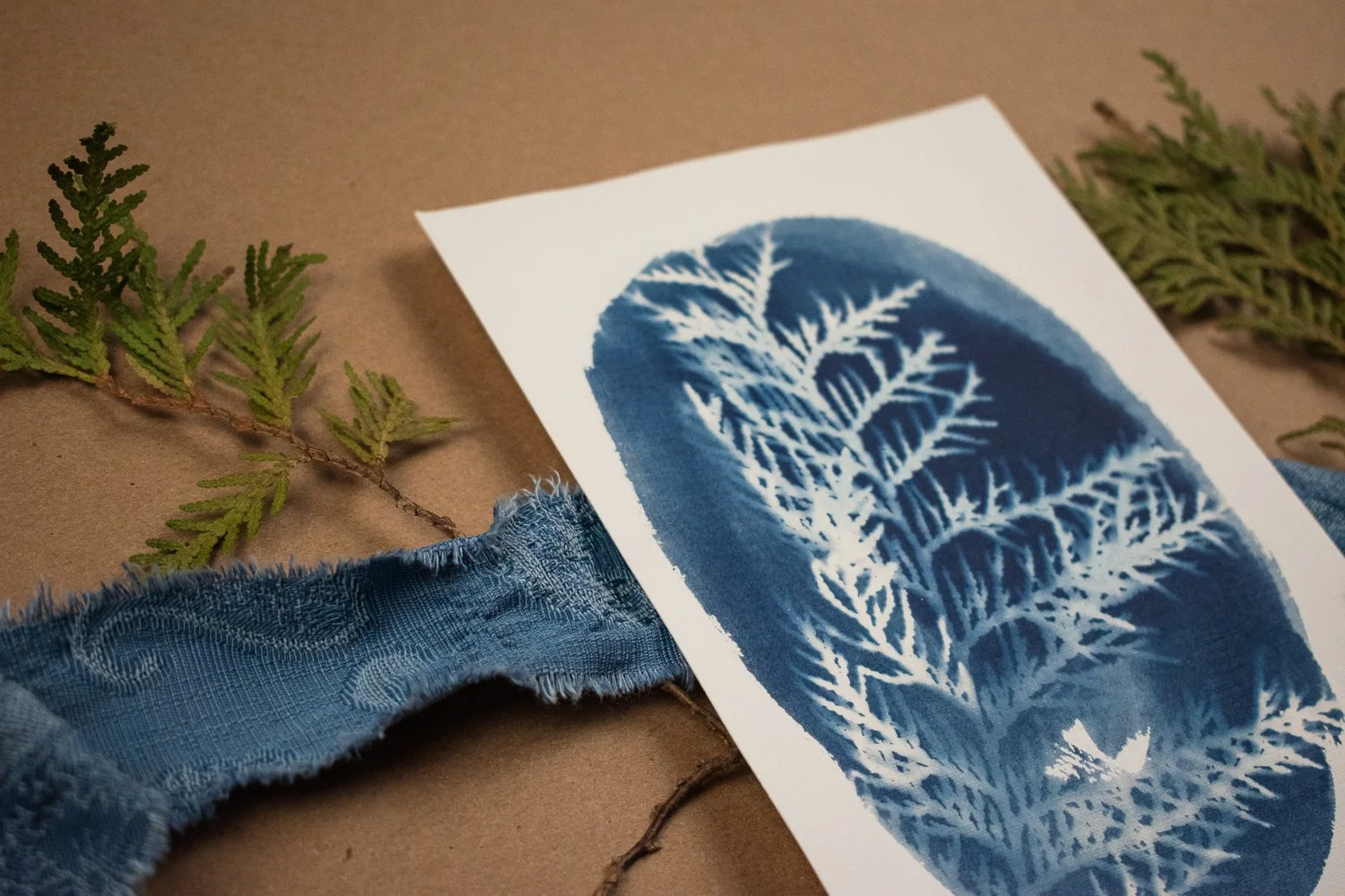 Jackie Partridge  Small Blue Cedar Cyanotype Artwork, 2021