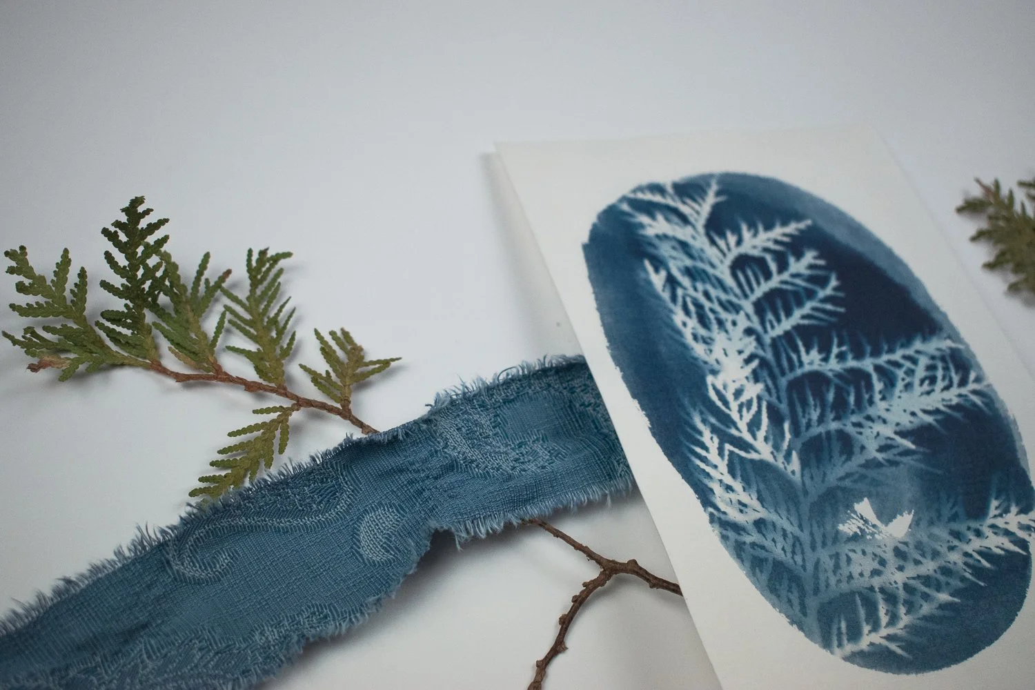Jackie Partridge  Small Blue Cedar Cyanotype, 2021