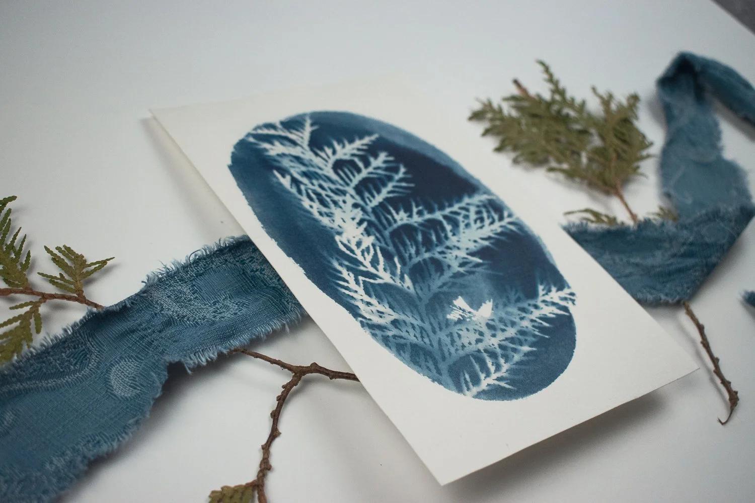 Jackie Partridge  Small Blue Cedar Cyanotype, 2021