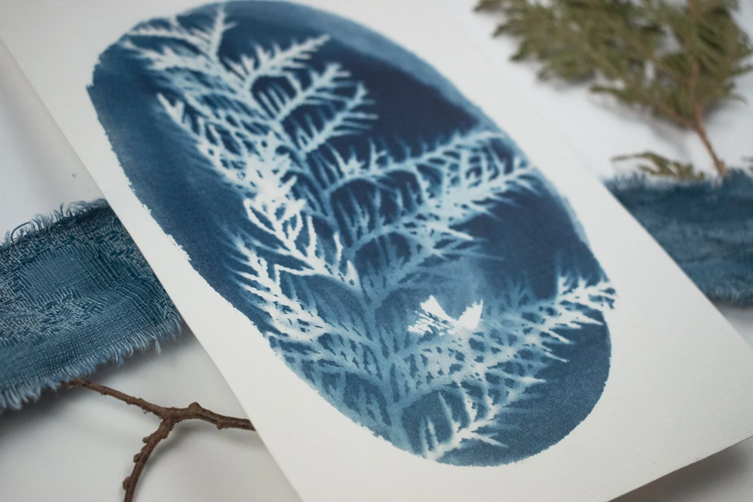 Jackie Partridge  Small Blue Oval Cedar Cyanotype, 2021