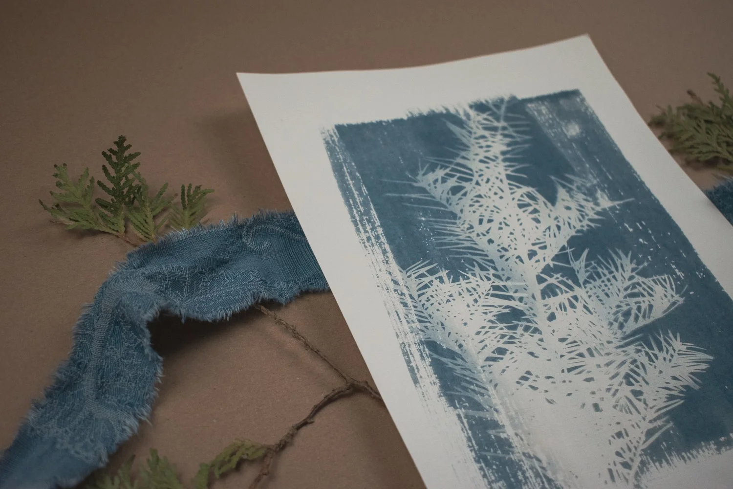 Jackie Partridge Light Pine Cyanotype, 2021