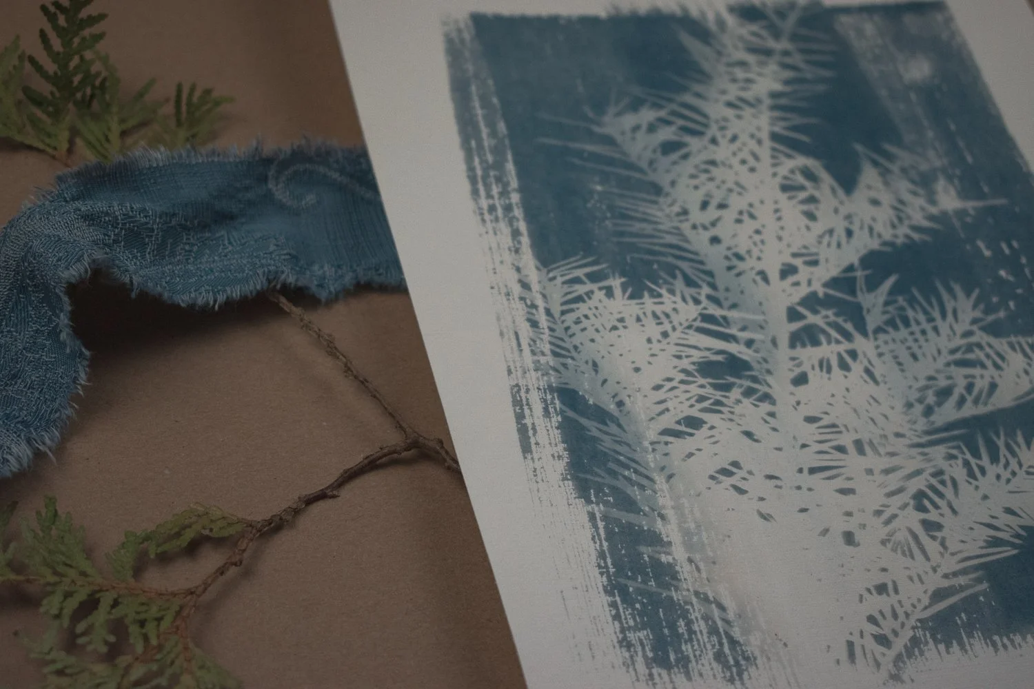 Jackie Partridge Light Pine Branch Cyanotype, 2021