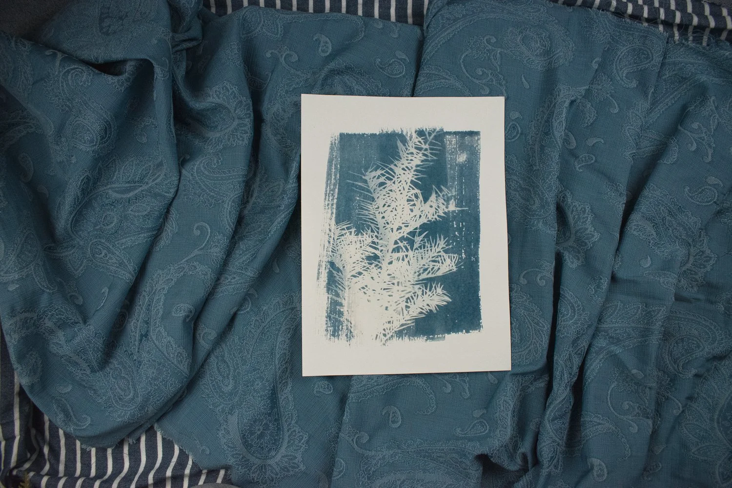Jackie Partridge Light Pine Cyanotype, 2021